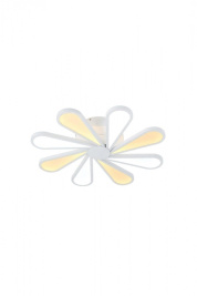 Потолочная люстра Lucia Tucci Miracoli 201.8 LED